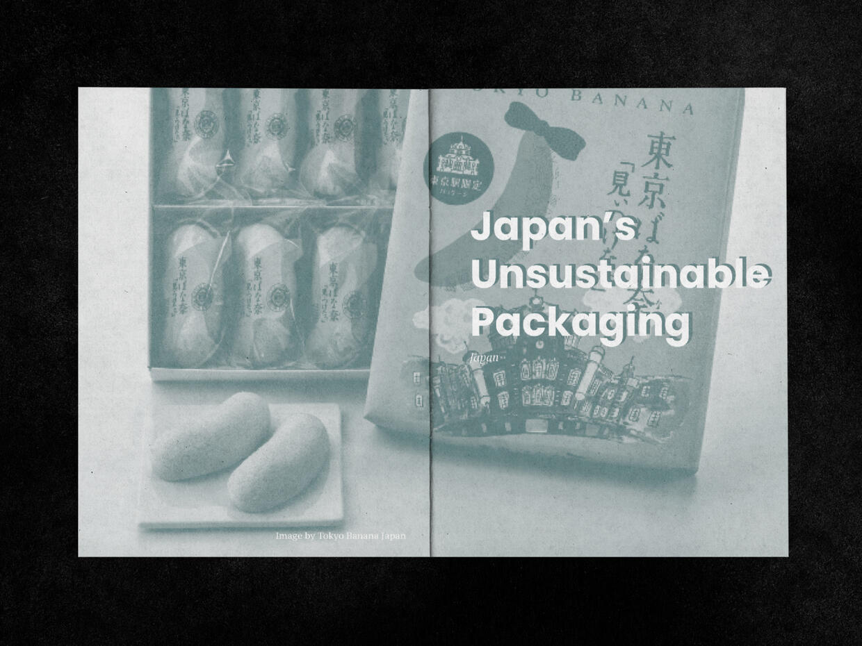 Japan's Unsustainable Packaging (P1)