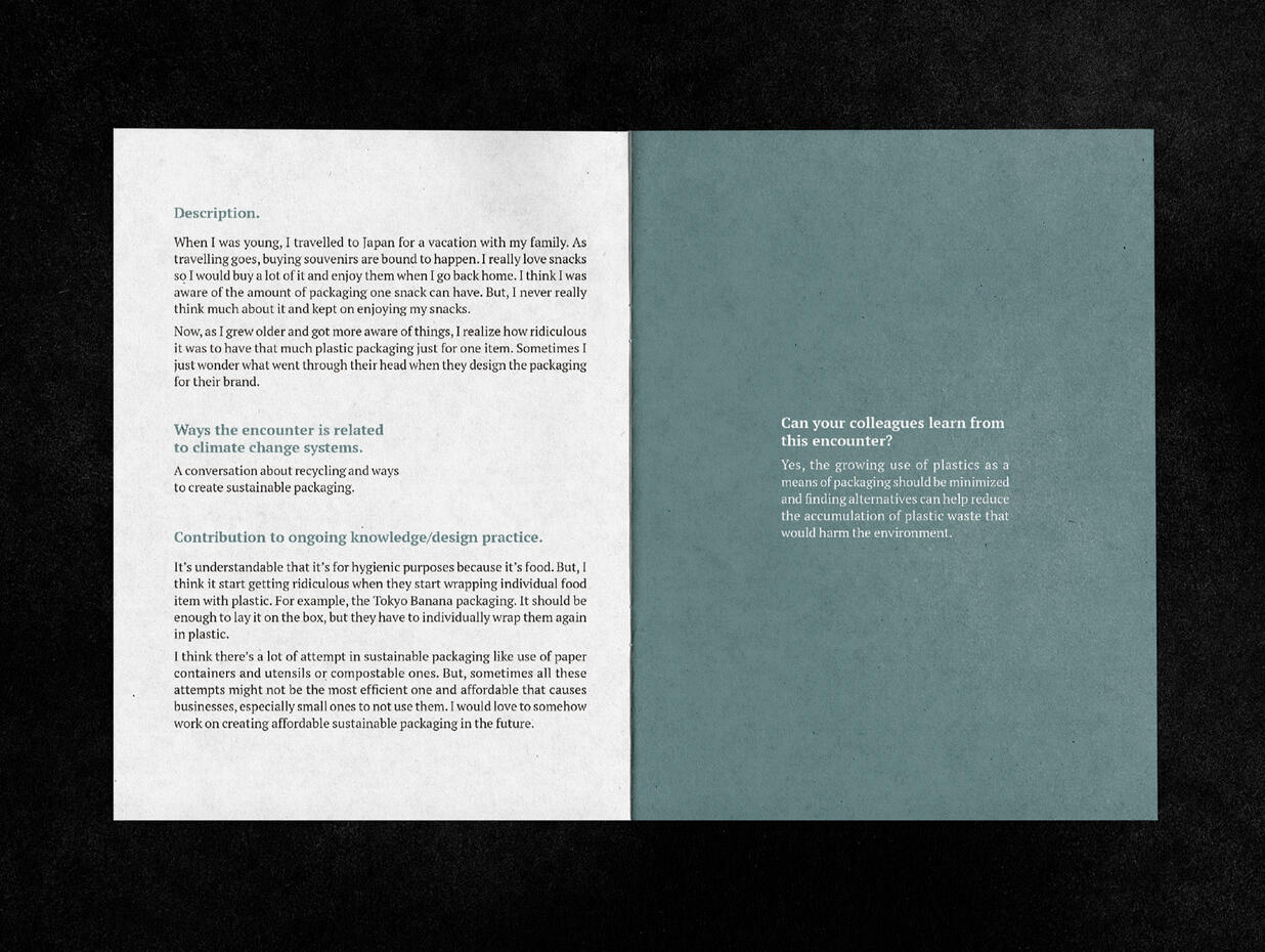 Japan's Unsustainable Packaging (P2)