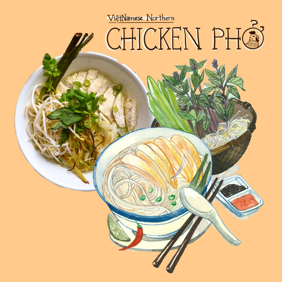 Vietnamese Northern Chicken Pho